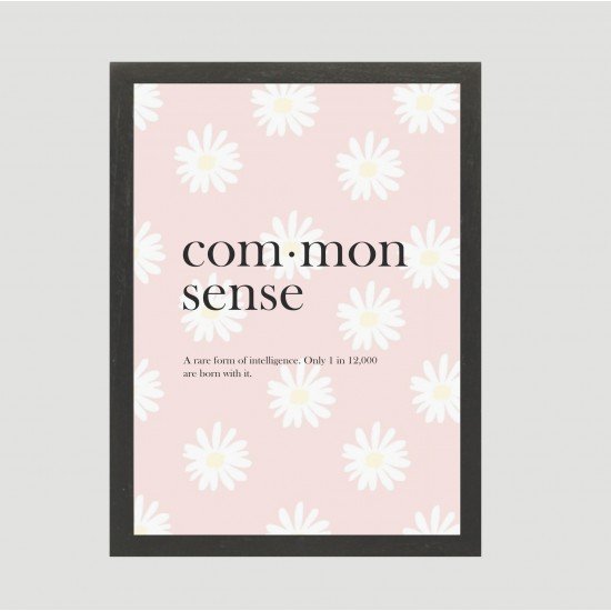 Common sense Frame