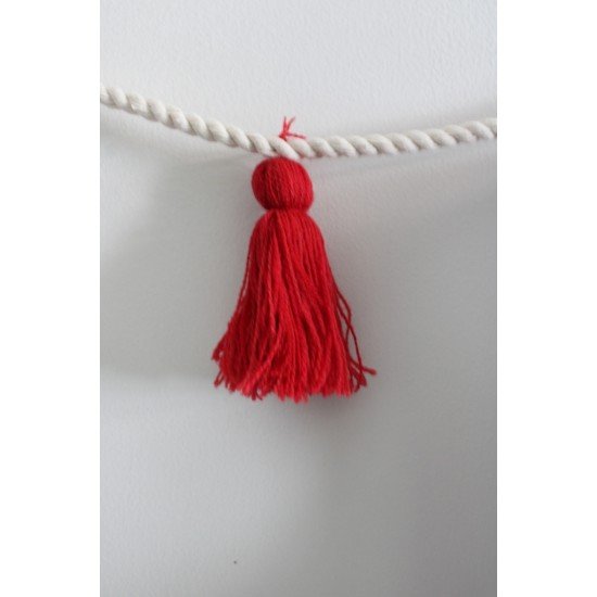 Red tassel Bunting